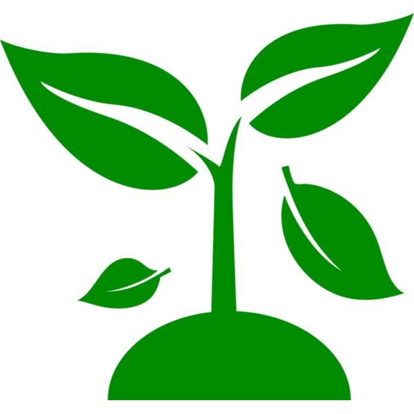48 Plant Thumbnail