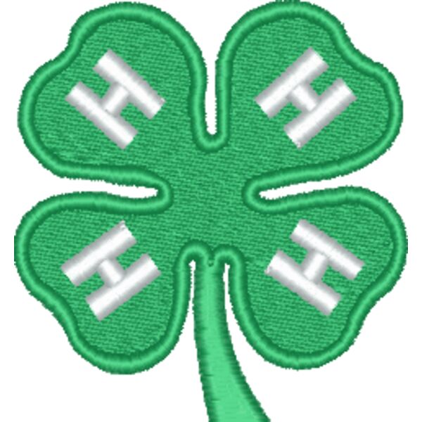 4H Clover Thumbnail