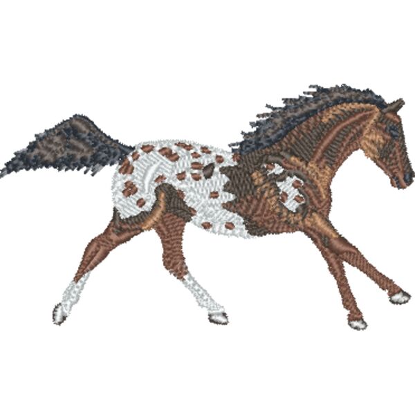 Bay Blanket Appaloosa Thumbnail