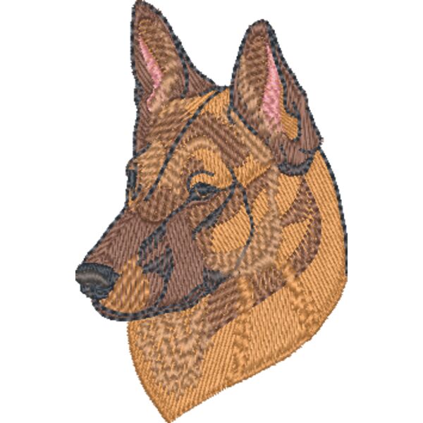 Belgian Malinois Head Thumbnail