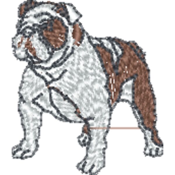 Bulldog  Thumbnail
