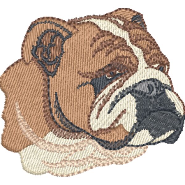 Bulldog Face Thumbnail