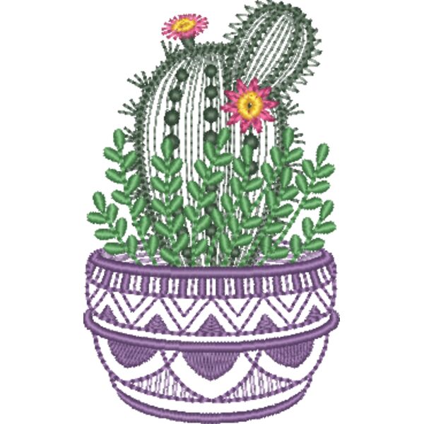 Cactus Bloom Thumbnail