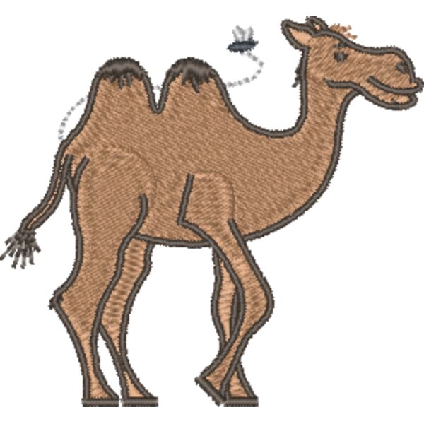 Camel & Fly Thumbnail